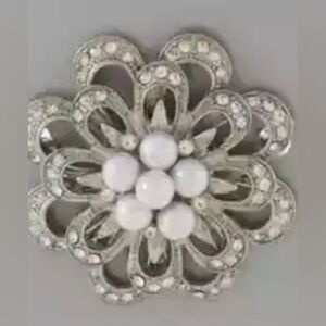NWT Elegant Silver and Pearl Brooc
